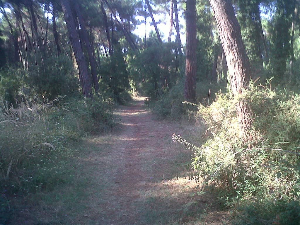 Vertical photo