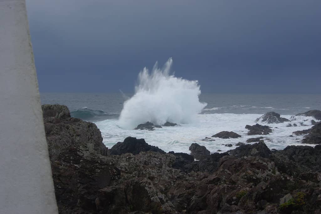 Asilomar Coast Trail