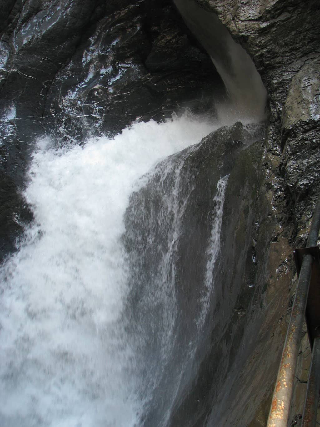 Vertical photo