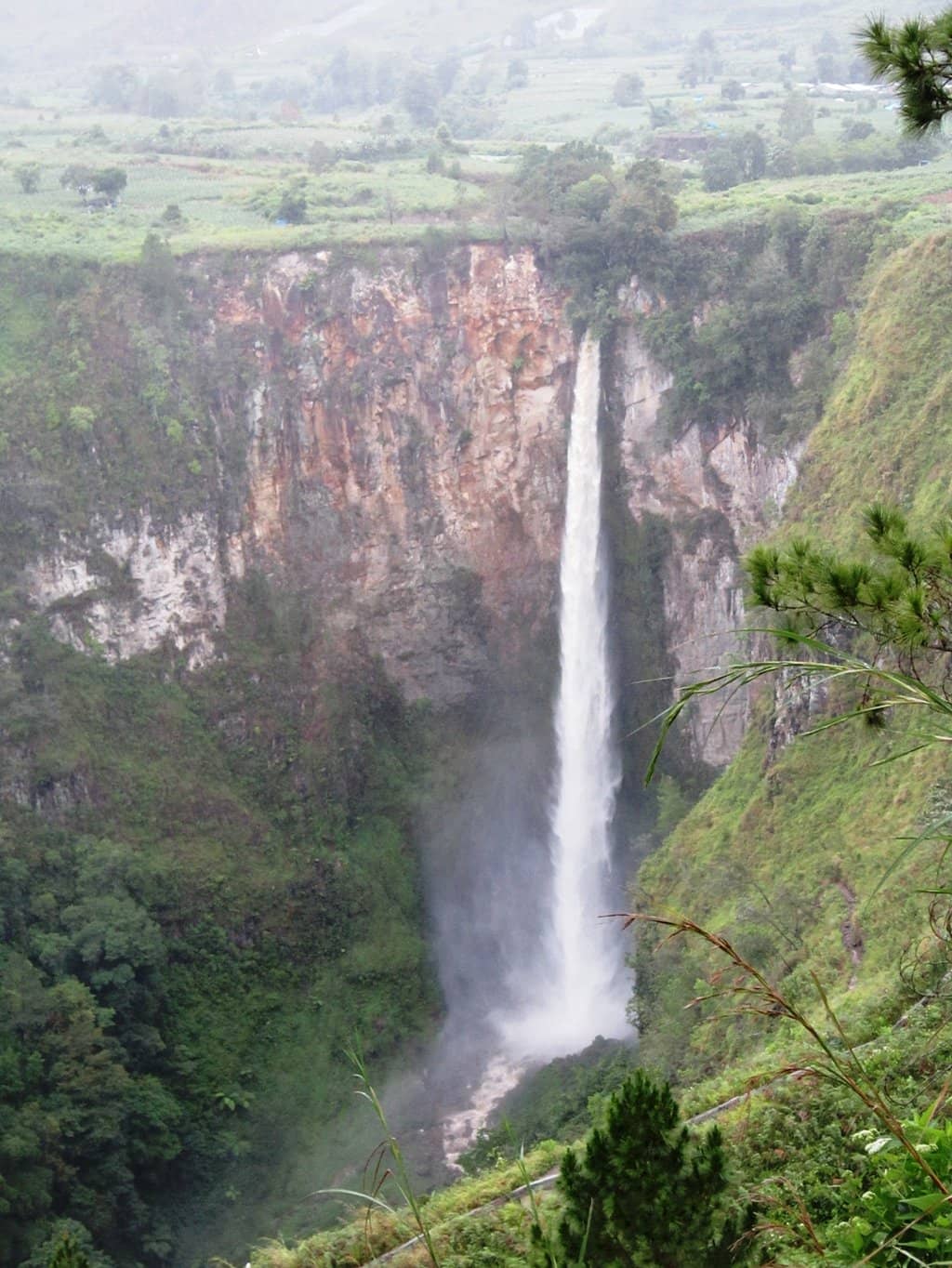 Vertical photo