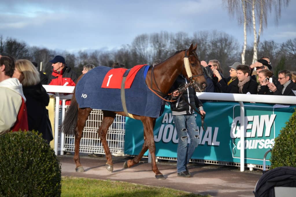Thrilling Horse Races