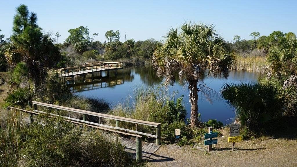 Pine Flatwoods Trail
