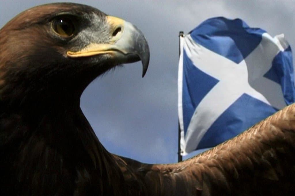 The Scottish Eagle