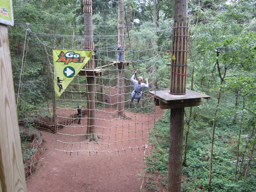 Vertical photo
