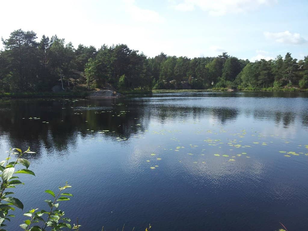 Panoramic City Views