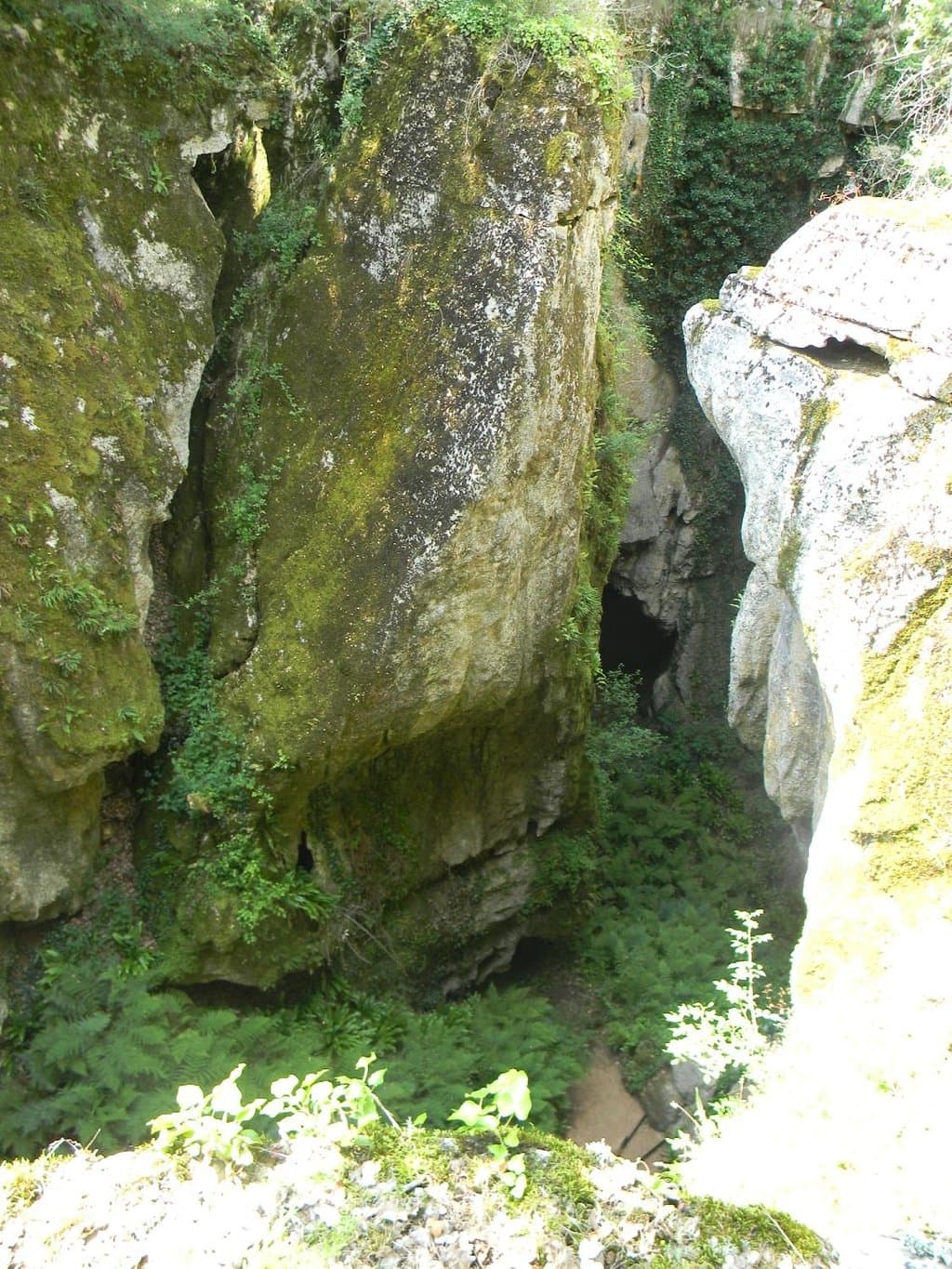 super visite