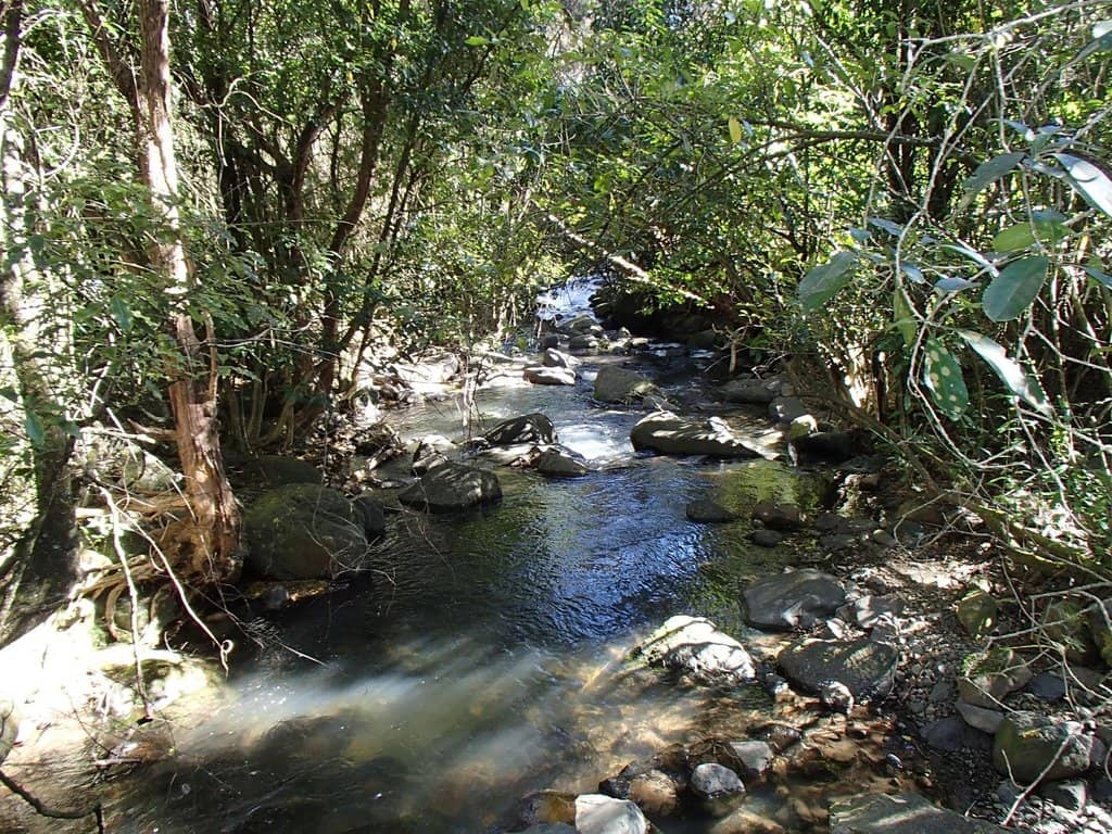 Little River Township