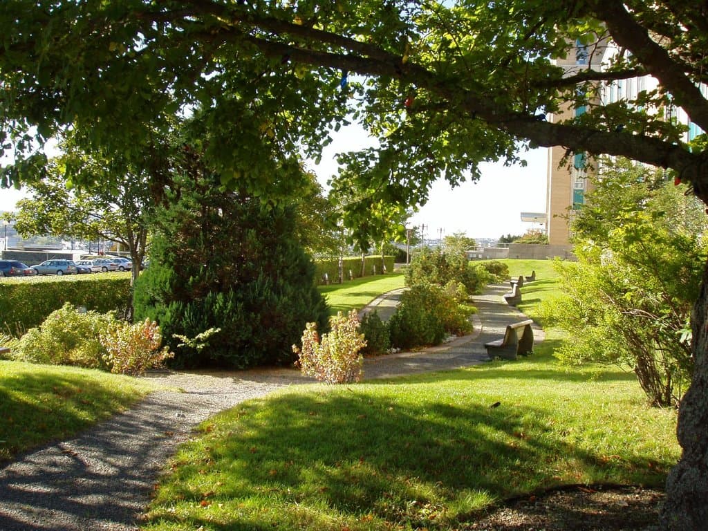 Confederation Buliding Walking Trail