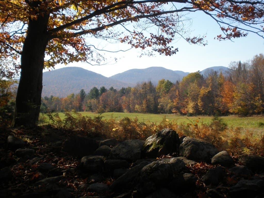 View from the Meadow Trail