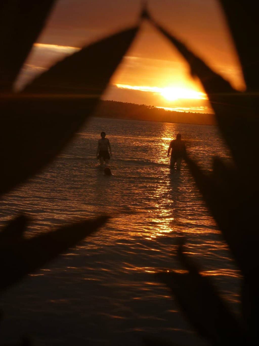 Sunset Spectacle
