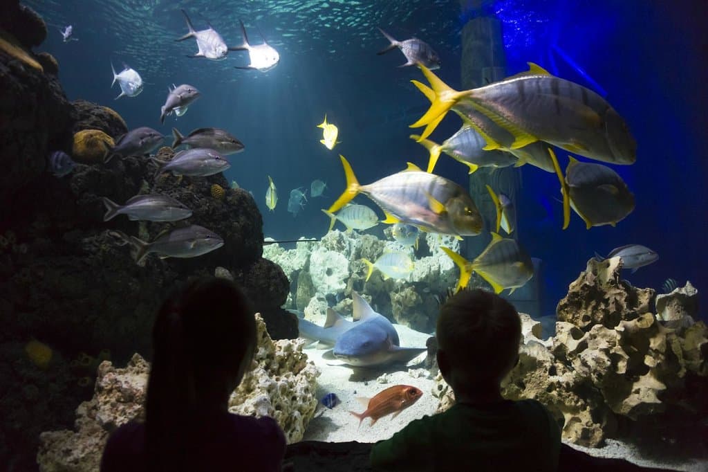 SEA LIFE Konstanz