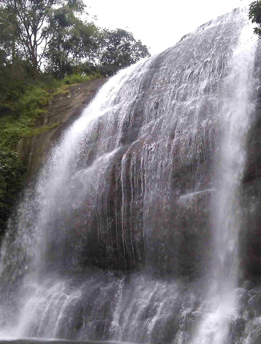 Vertical photo