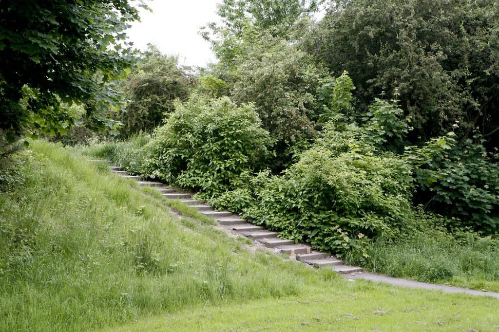 Adventure Playgrounds
