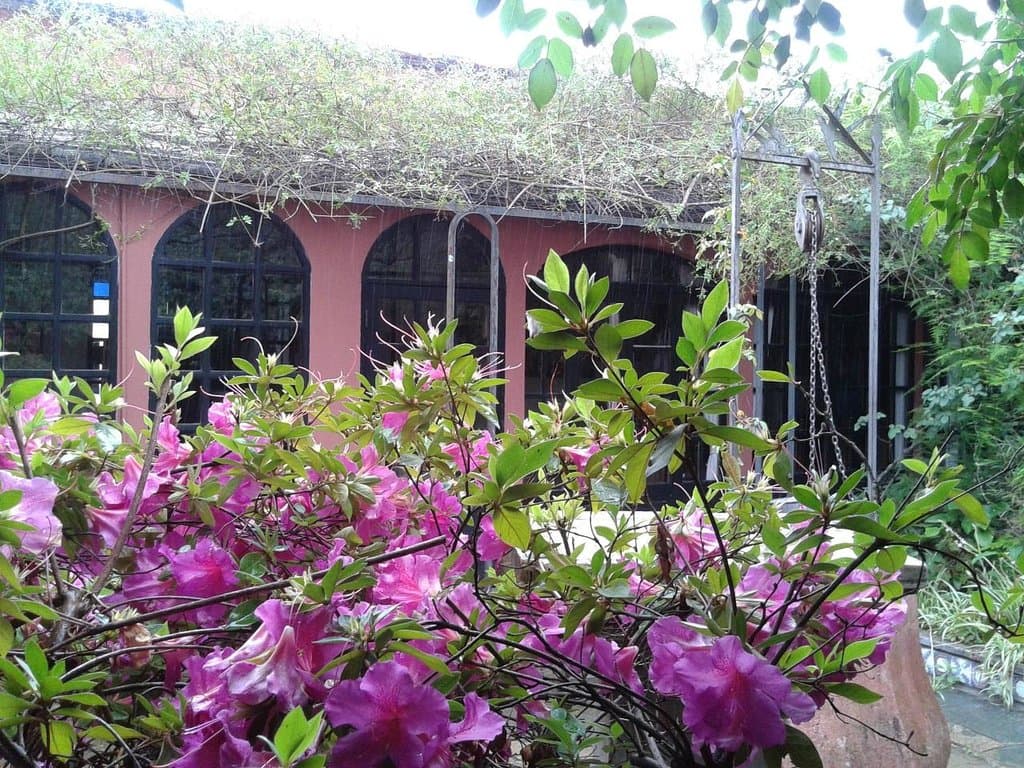 Patio interior