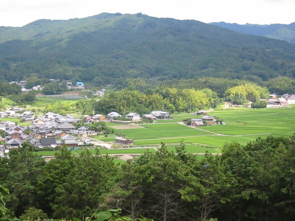 甘樫丘から天の香具山