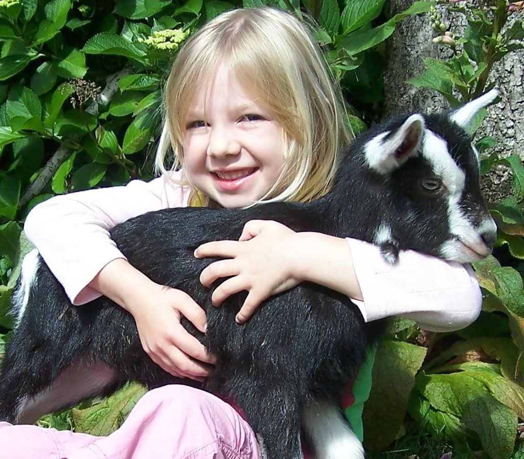 Magical Forest Vibes