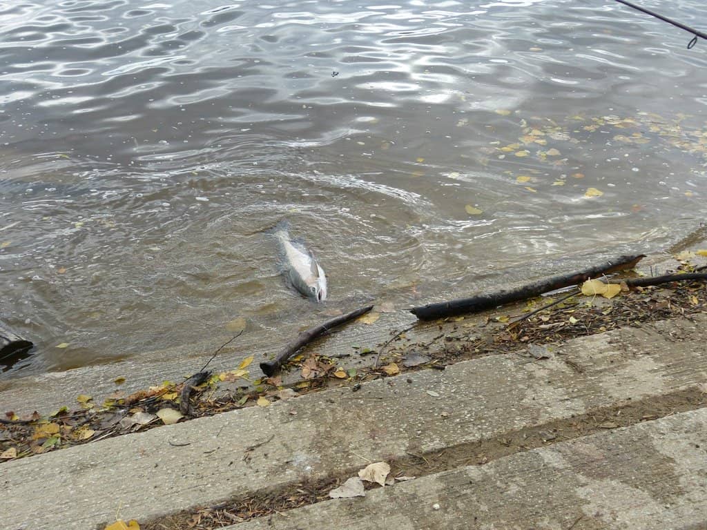 Power Plant Surroundings