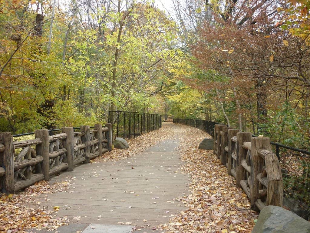 Prospect Park Carousel