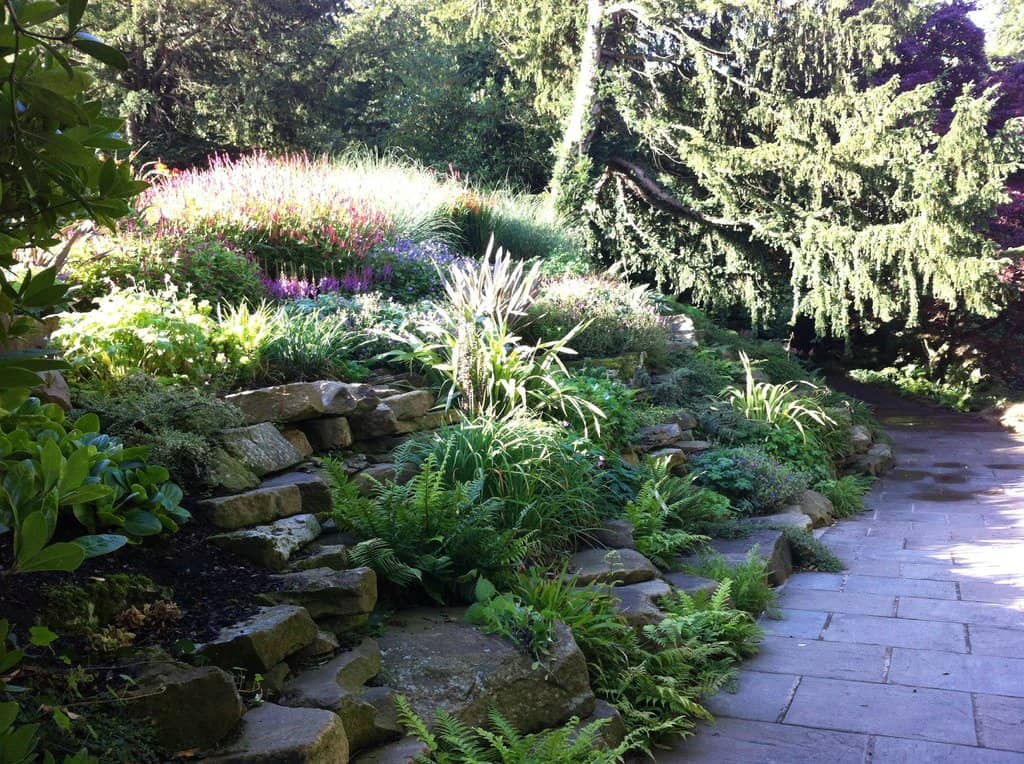 Extensive Plant and Garden Supplies