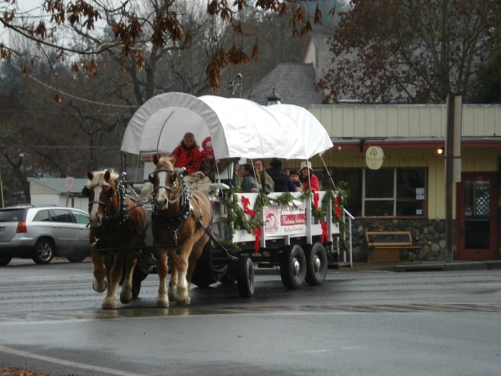 Trolley drawn by a pair of Belgian heavy draft horses