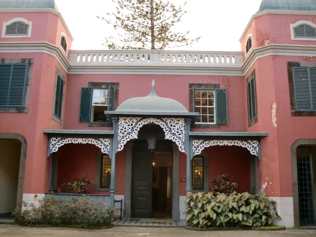 south american philodendron climbing the museum entrance