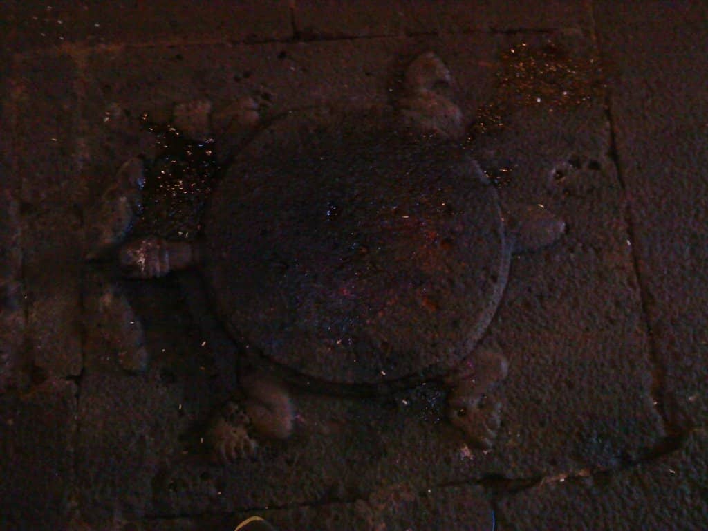 Sacred Cow-Mouth Spout