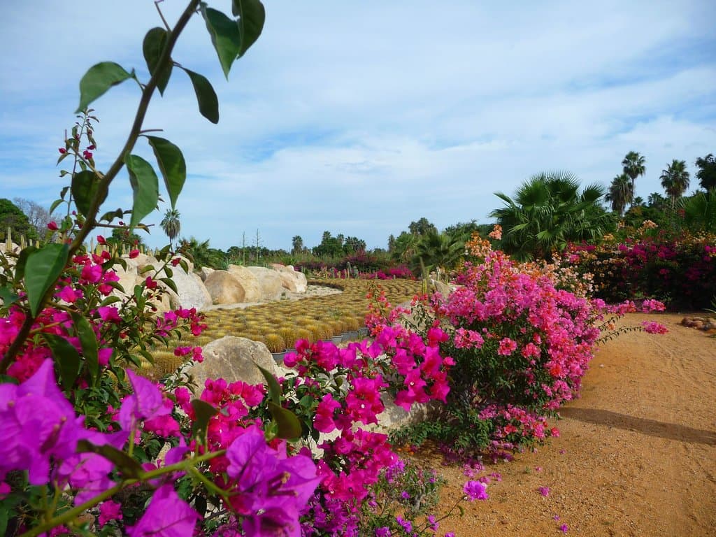 walkway.