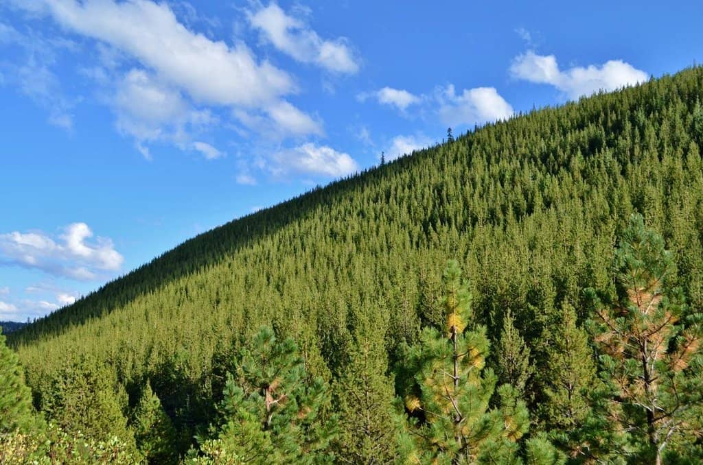 Tumalo Falls Loop Hike