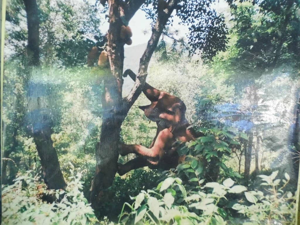 Third hero image