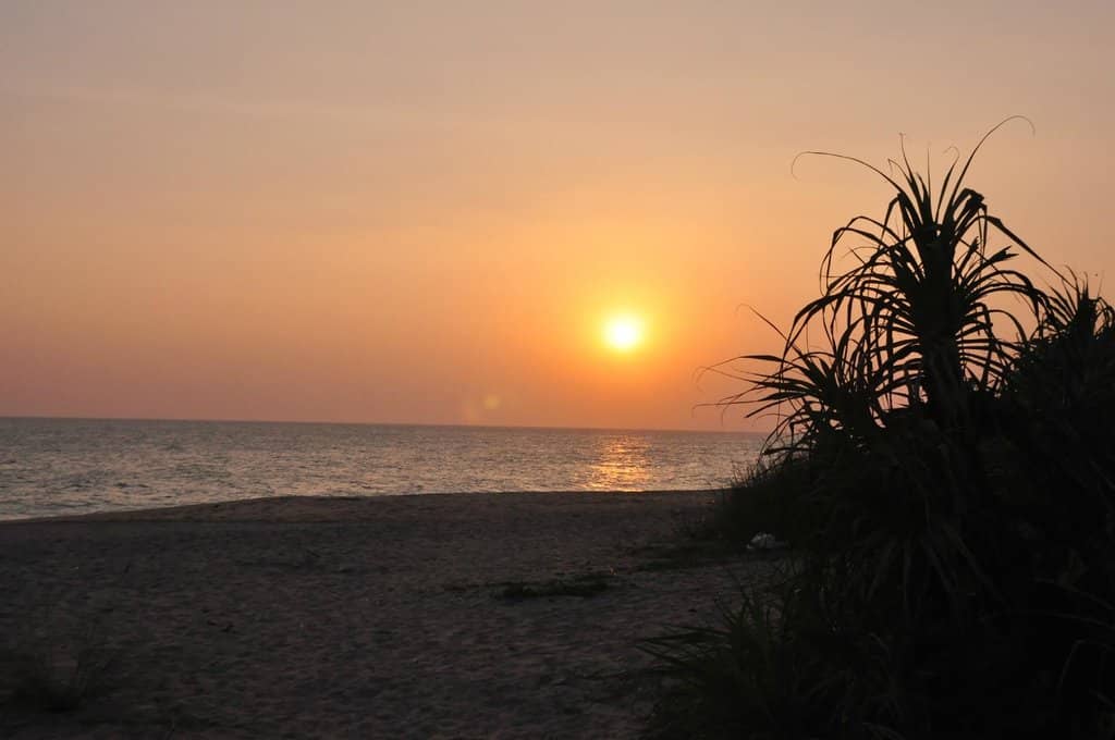 Golden Sands & Calm Waves