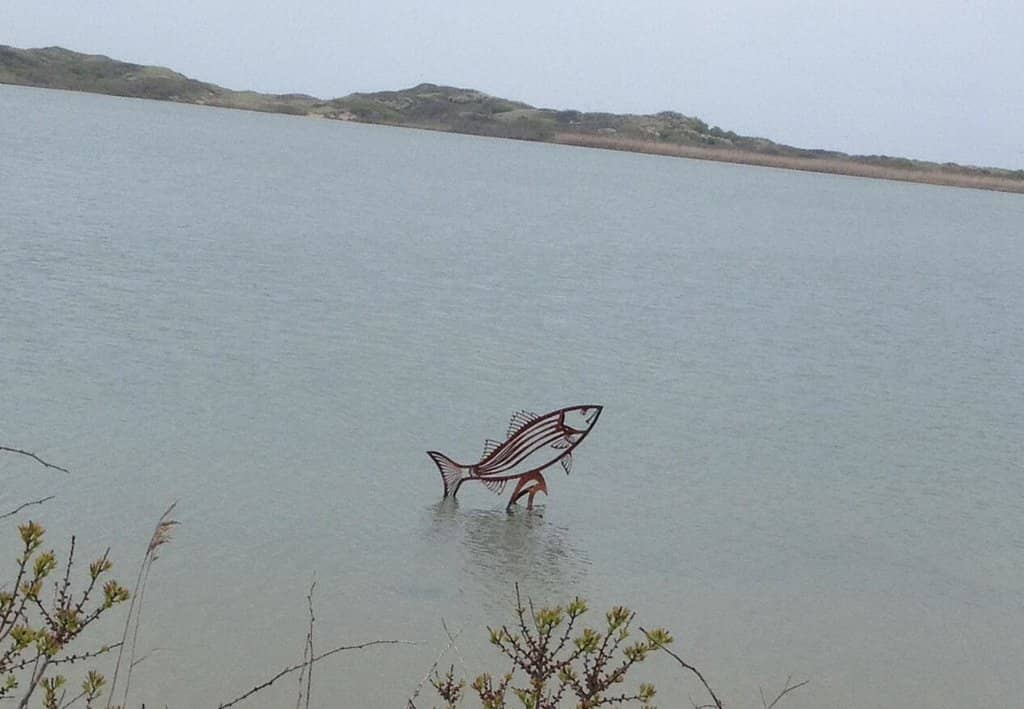 Proximity to North Light