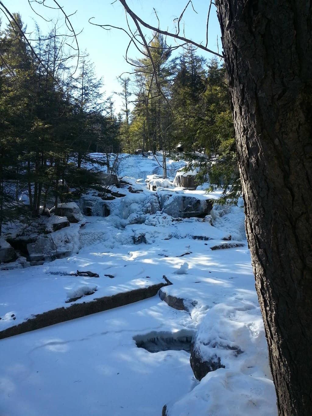 Vertical photo