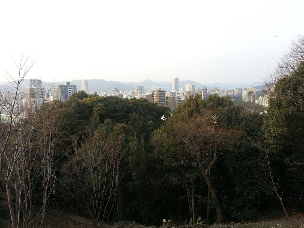 Panoramic City Views