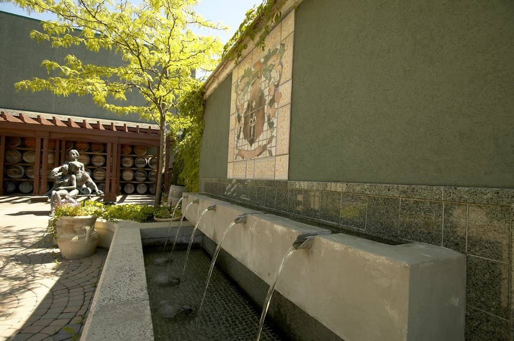 Patio Dining Experience