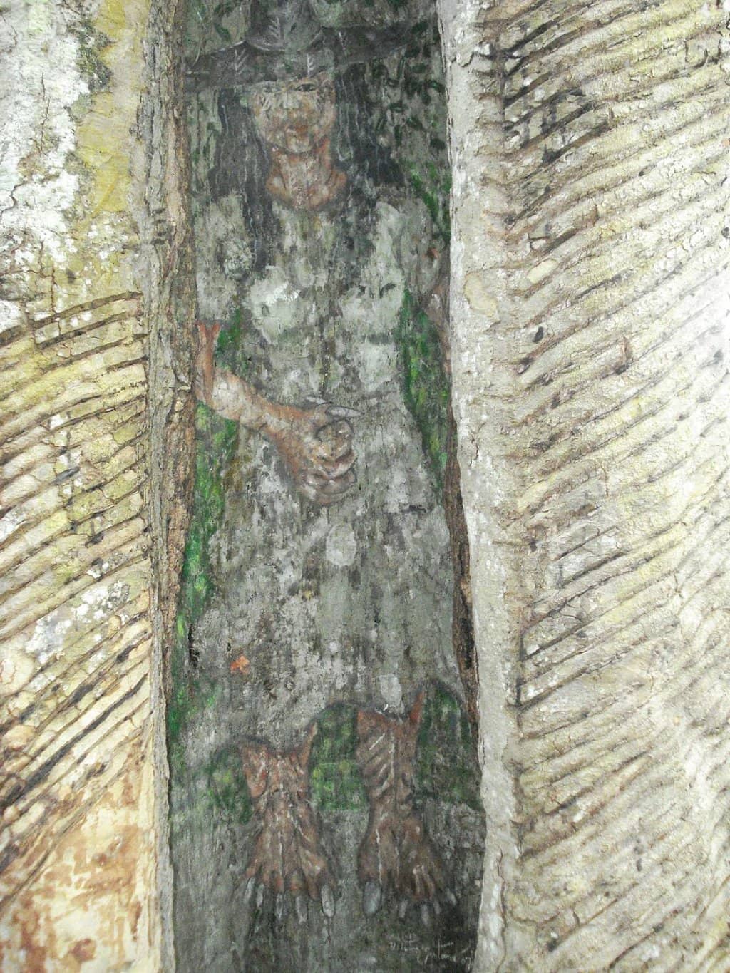 Vertical photo