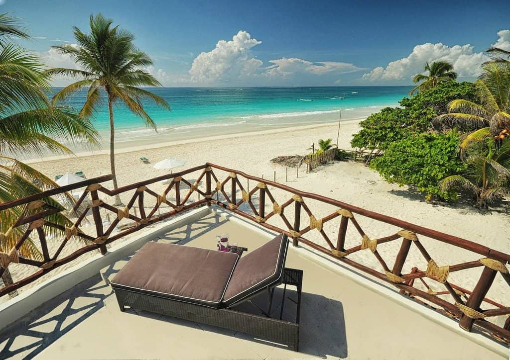 Marine Life Encounters