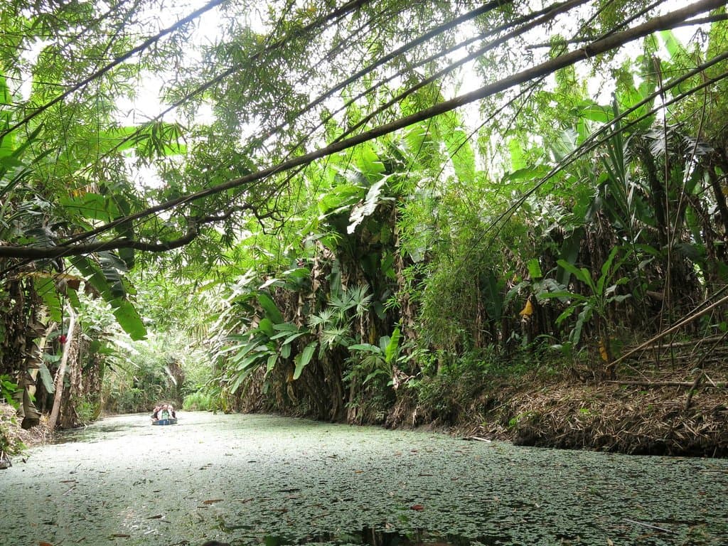View from the canoe