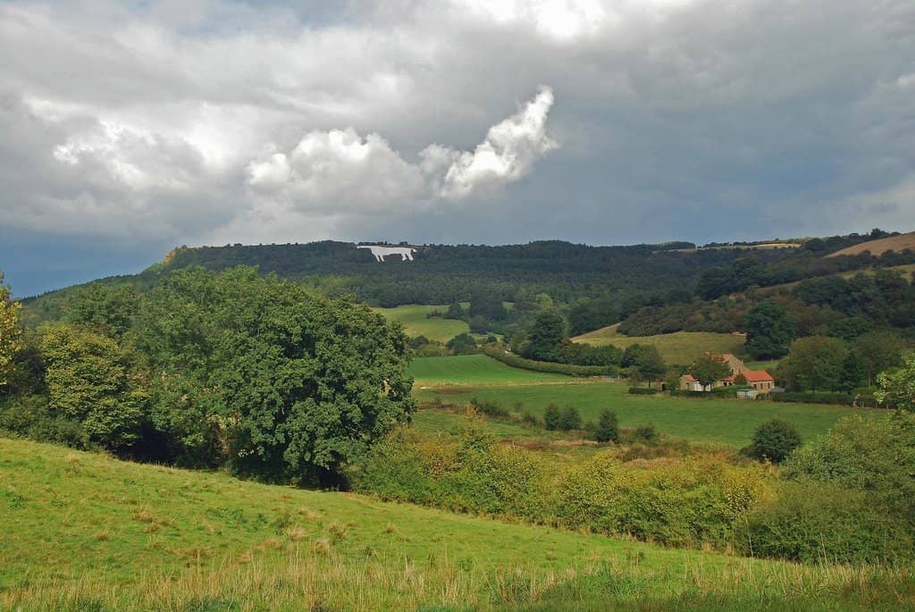 Sutton Bank Vistas