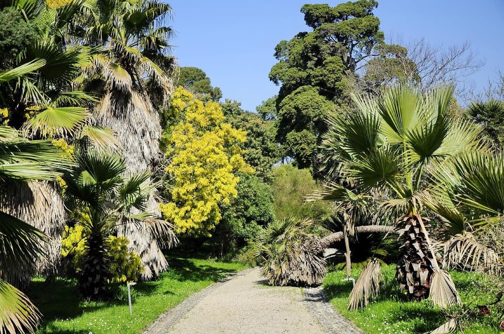 В ботаническом саду