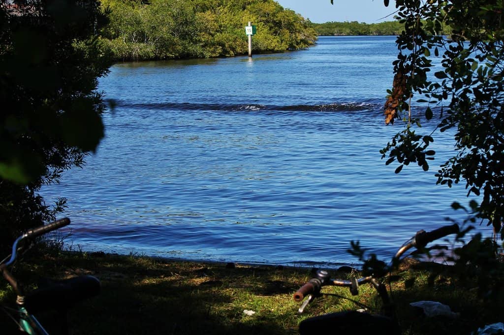 Dog-Friendly Nature Walks