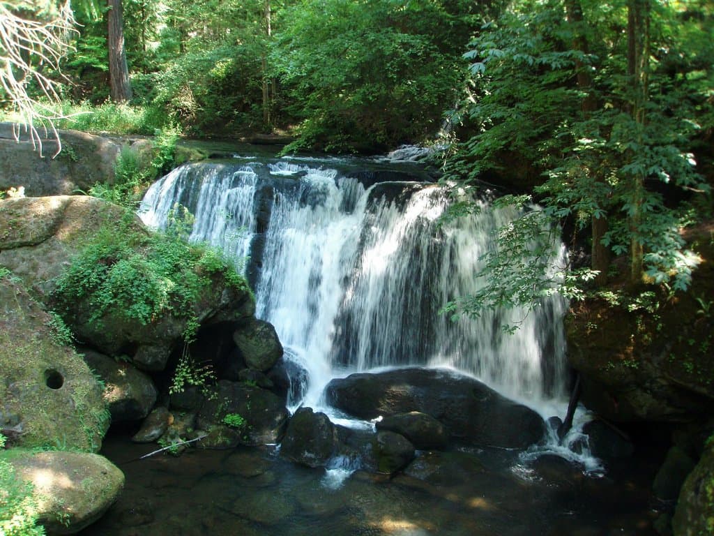 Whatcom Falls in Summer