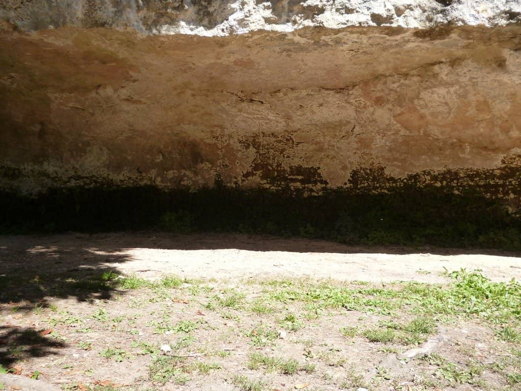 The Cro-Magnon Rock Shelter