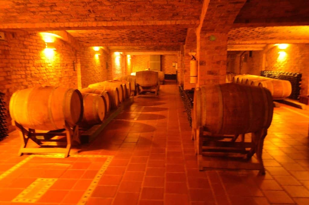 Scenic Vineyard Views