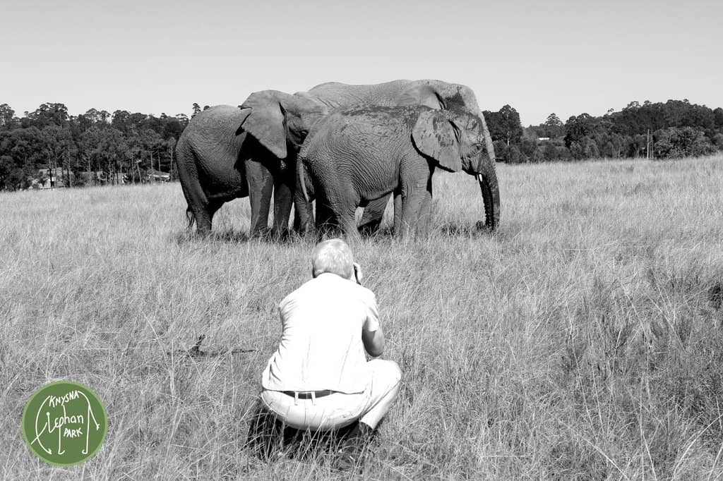 Trunk Call Experience