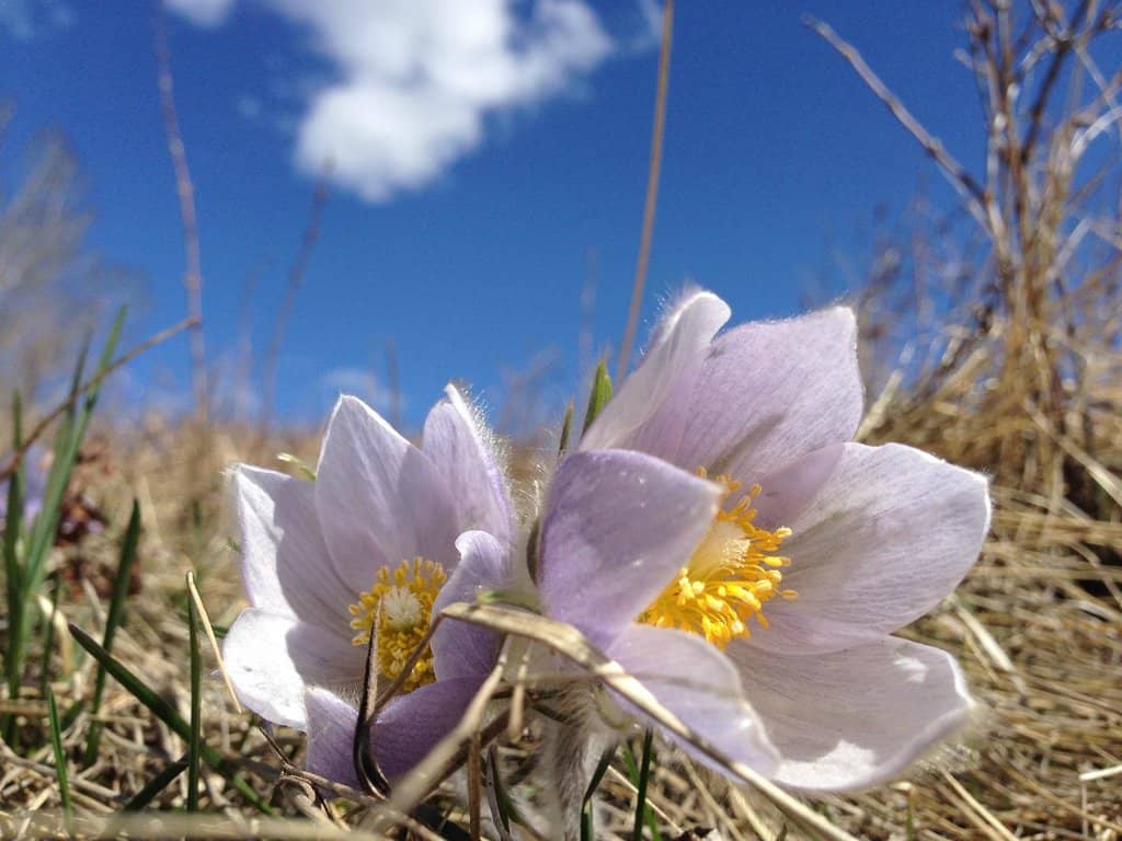 Extensive Trail Network