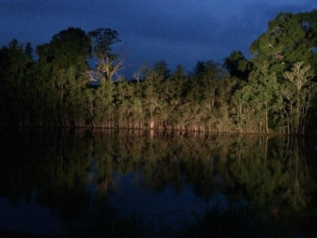 The Kiroli pond lit at night.