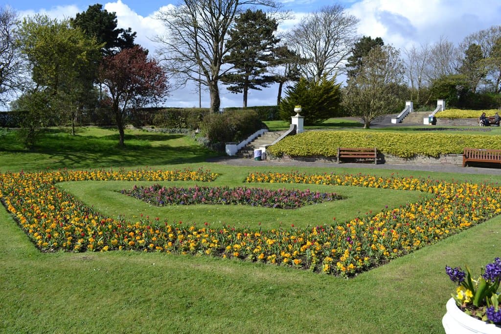 Beautiful flower beds