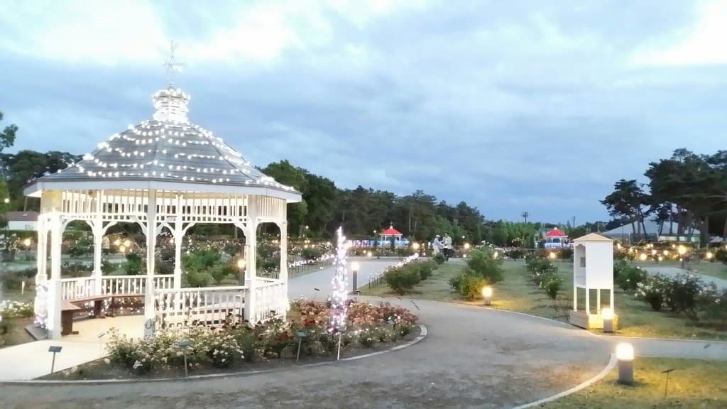 Rose park