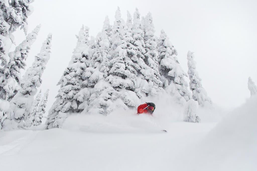 Selkirk glades