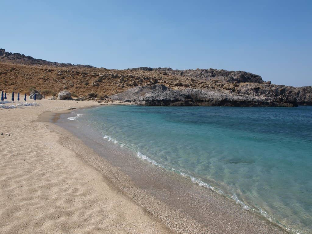 Vibrant Underwater Life